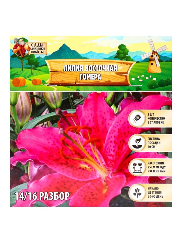 Лилия Восточная Gomera, луковица в пакете с перфорацией, р-р 14/16, 3 шт.