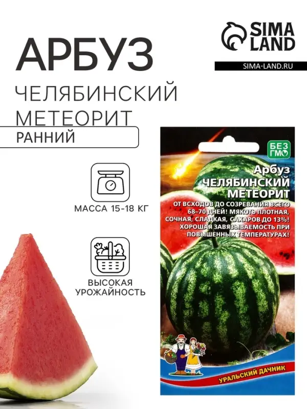 Семена Арбуз Челябинский метеорит (УД) Е/П , Е/П,  10 шт.