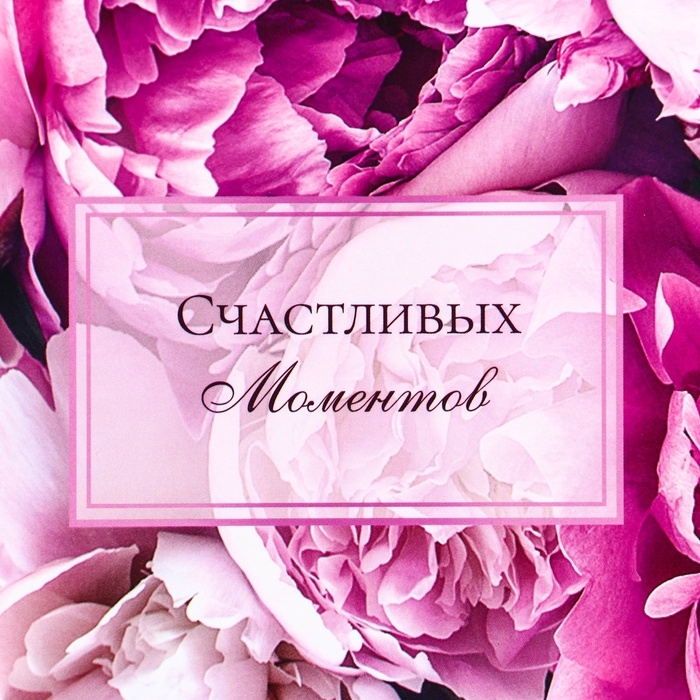 Пакет ламинированный горизонтальный "Счастливых моментов, пионы", 23 х 18 х 10 см