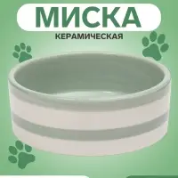 Миска &laquo;След&raquo;, 300 мл, 2.5&times;12.5&times;4.5 см, керамика, зелёная, белая