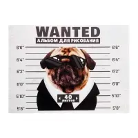 Альбом для рисования Calligrata А4, 40 листов, на скрепке, обложка из мелованного картона, МИКС