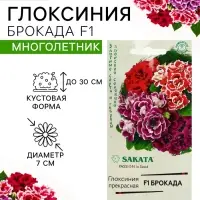 Семена цветов Глоксиния "Брокада", ц/п, F1, гранулы, 4 шт.