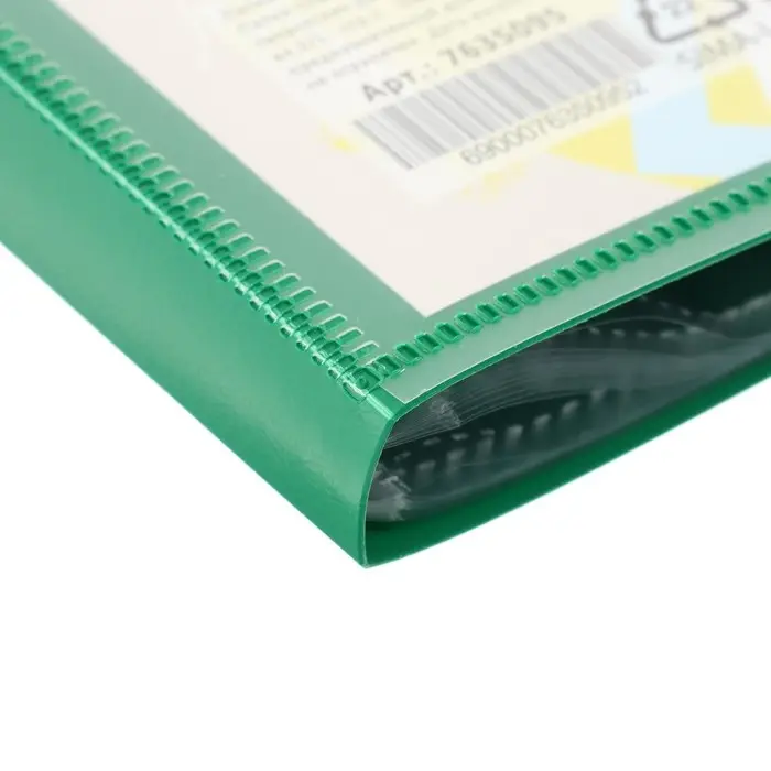 Папка-портфолио пластиковая А4, Calligrata &laquo;Лицей&raquo;, 20 файлов