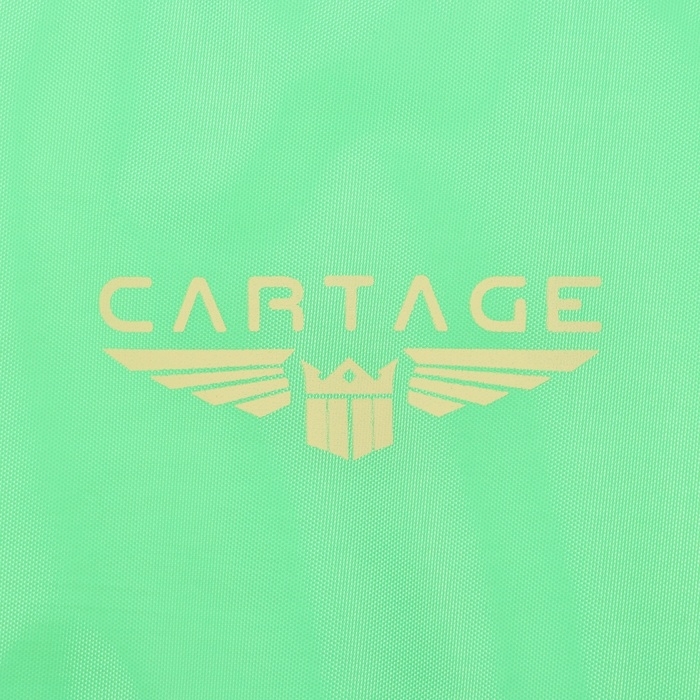 Термосумка Cartage Т-21, салатовый, 18 л, 35х21х24 см Термосумка Cartage Т-21, салатовый, 18 л, 35х21х24 см