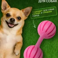 Жевательная игрушка для собак &laquo;Силач&raquo;, 15 см, TPR, розовая