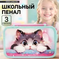 Пенал школьный, 3 секции, 12.5&times;20.5&times;5.5 см &laquo;Кот Корея&raquo;
