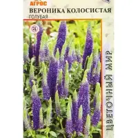 Семена Вероника колосистая Голубая 0,1 г Семена Вероника колосистая Голубая 0,1 г