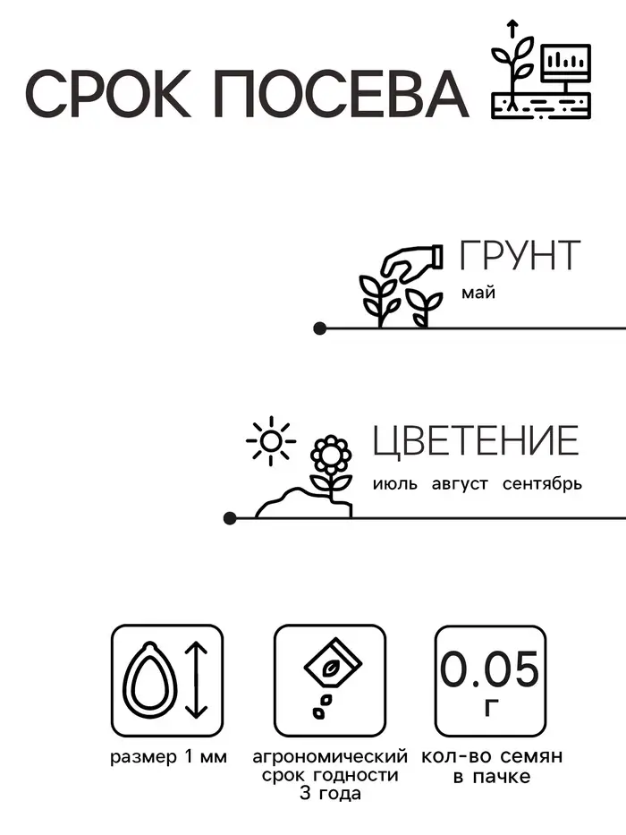 Семена  цветов Хризантема девичья "Белые Звезды". О, 0,05 г Семена  цветов Хризантема девичья "Белые Звезды". О, 0,05 г