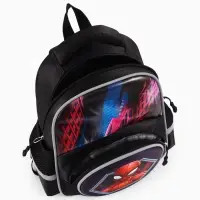 Рюкзак школьный с эргономичной спинкой &laquo;Паутина&raquo;