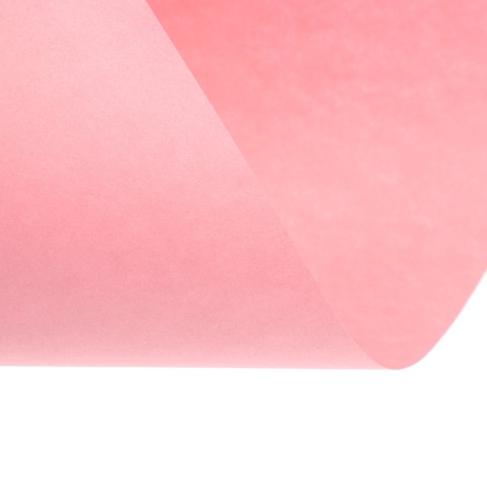 Бумага цветная А4 250л Calligrata Пастель + интенсив МИКС 10цв 80г/м2, АМБАЛАЖ Бумага цветная А4 250л Calligrata Пастель + интенсив МИКС 10цв 80г/м2, АМБАЛАЖ