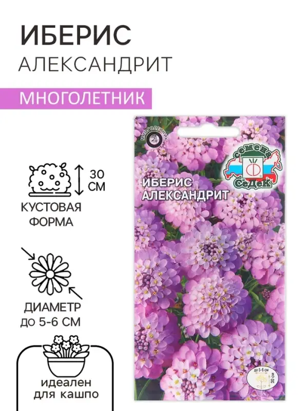 Семена цветов Иберис "Александрит", Евро, 0,1 г