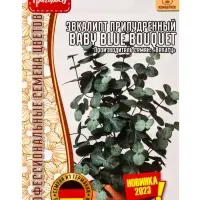 Семена Эвкалипт Baby Blue Bouquet припудренный 3шт. / НОВИНКА  12.29 г.