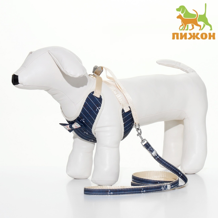 Комплект с мягкой шлейкой  Комплект с мягкой шлейкой "Якорь", размер L, поводок 120 х 1,5 см, ОГ 42-76 см, синий