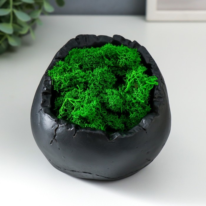 Кашпо бетонное  Кашпо бетонное "Череп" высота 10 см черное со мхом (мох зеленый стабилизированный)