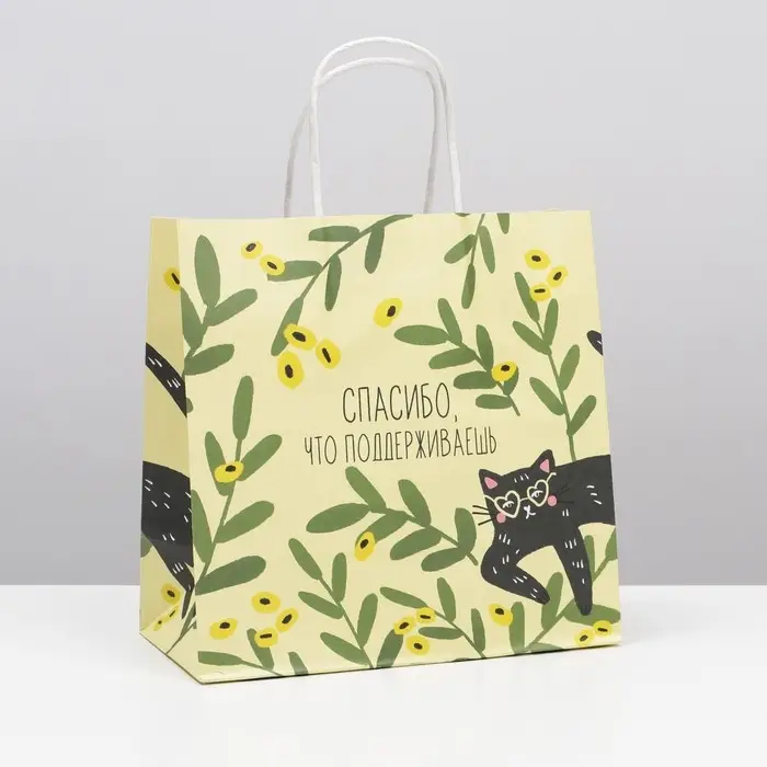 Пакет подарочный, упаковка, &laquo;Котейка&raquo;, 22 х 22 х 11 см