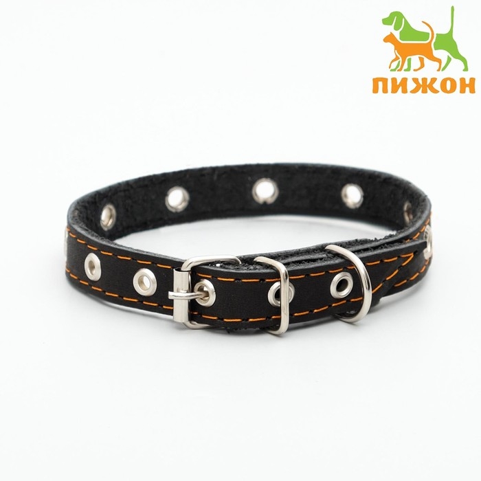 Ошейник кожаный однослойный с рифлеными люверсами, безразмерный, 40 х 1,5 см, ОШ 27-35 см, чёрный 7 Ошейник кожаный однослойный с рифлеными люверсами, безразмерный, 40 х 1,5 см, ОШ 27-35 см, чёрный 7