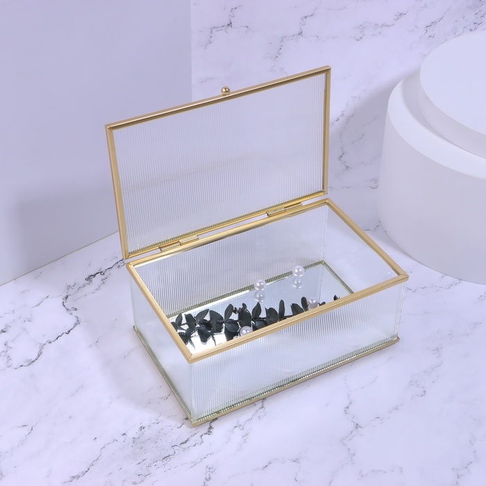 Органайзер для хранения «RIPPLES», с крышкой, стеклянный, с зеркальным дном, с крышкой, 1 секция, 17 × 10,5 × 7 см, цвет прозрачный/медный Органайзер для хранения «RIPPLES», с крышкой, стеклянный, с зеркальным дном, с крышкой, 1 секция, 17 × 10,5 × 7 см, цвет прозрачный/медный