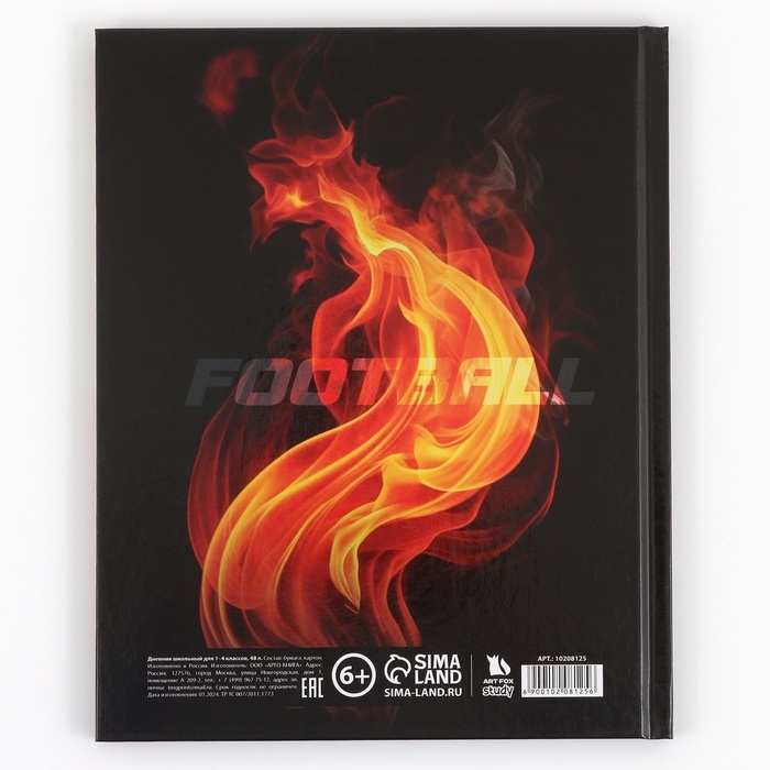 Дневник школьный 1-4 класса, в твердой обложке, 48 л &laquo;Футбольный мяч&raquo;