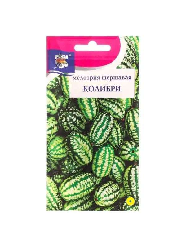 Набор семян Мелотрия шершавая "Колибри", 5 шт.