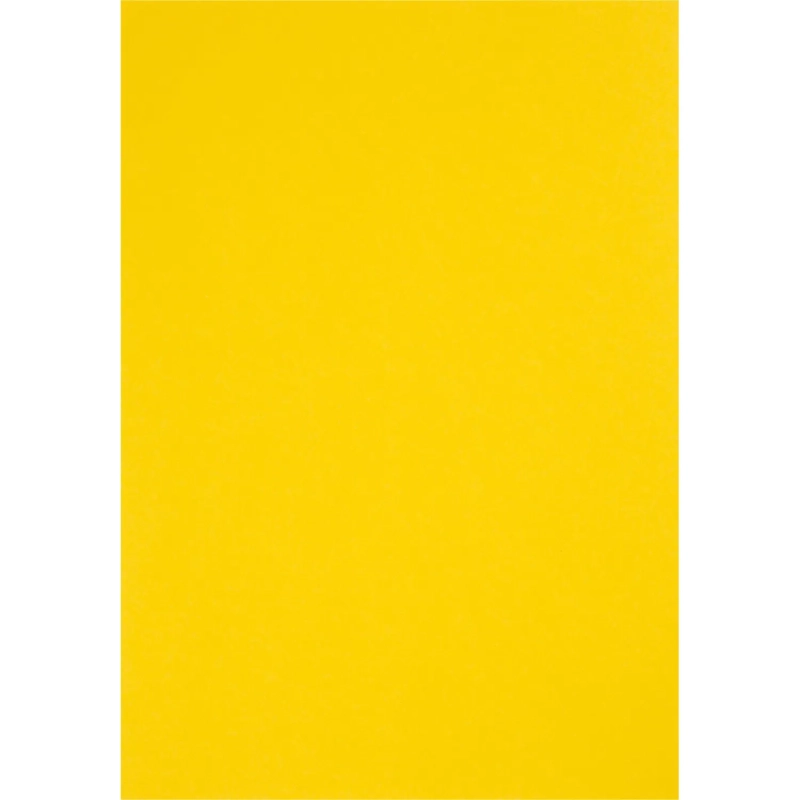 Бумага цветная Attache Multicolor А4,80г(10цв.интенсив,пастель по 10л)100л