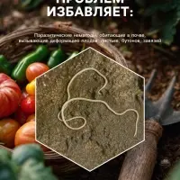 Средство от болезней растений &laquo;Флагрин-Д&raquo; (Нематодин), 100 г