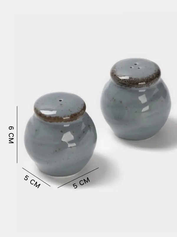 Набор для специй Magistro Alpine Frost, 2 предмета: перечница, солонка, 80 мл, 5&times;6 см, фарфор, голубовато-серый