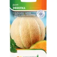 Семена Дыня &laquo;Эфиопка&raquo;, 10 шт., &laquo;Агрос&raquo;