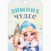 Шильдик декоративный в наборе «С Новым годом!», 9 х 5 см