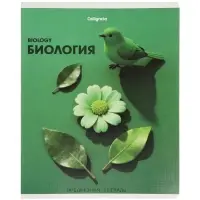 Тетради предметные 12 шт. 48 листов, справочная информация, 60 г