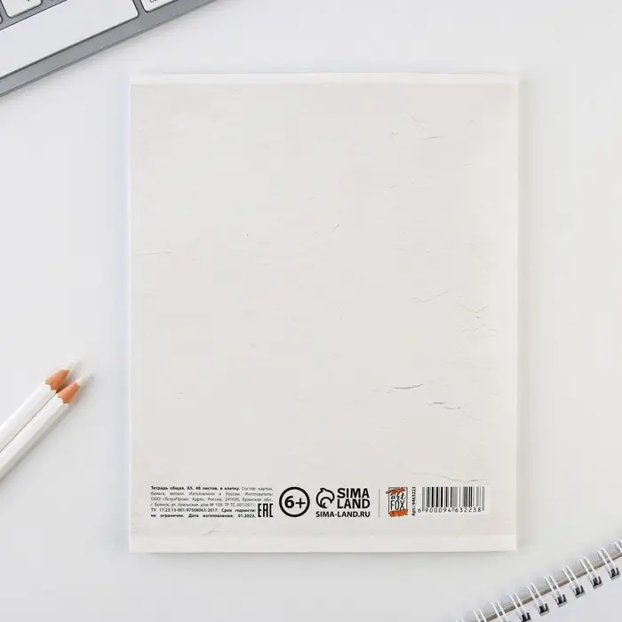 Тетрадь в клетку, предметная, 48 л.,на скрепке, А5 &laquo;ИСТОРИЧЕСКИЕ ЛИЧНОСТИ. Алгебра&raquo;