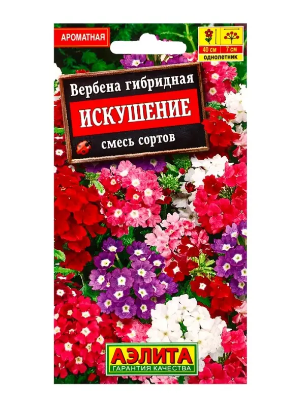 Семена Цветов Вербена "Искушение", смесь сортов, ц/п, 0,1 г