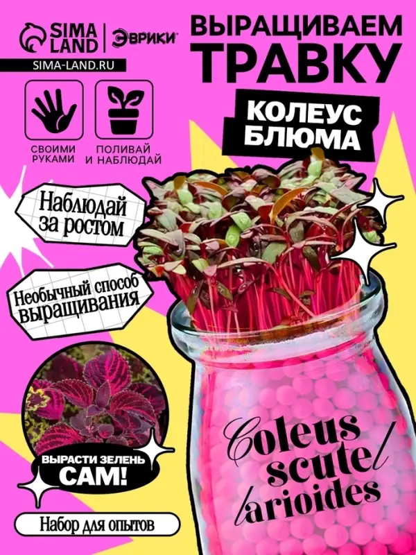 Набор для опытов &laquo;Выращиваем травку&raquo;, своими руками, розовый