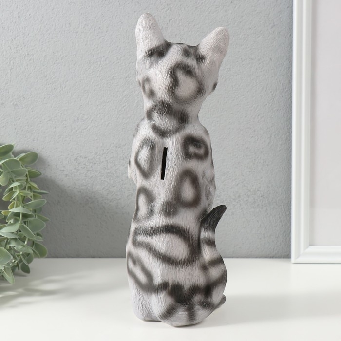 Копилка Копилка "Котенок Том" 27 х 10 х 10 см.