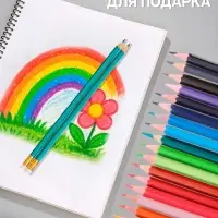 Карандаши Calligrata, цветные, 18 цветов, эконом, шестигранные, пластиковые, пенал-тубус и 2 чернографитных карандаша с ластиком в ПОДАРОК