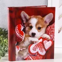 Фотоальбом 30 магнитных листов 23X28см, "Собака", пер-т внутр.спираль МИКС Фотоальбом 30 магнитных листов 23X28см, "Собака", пер-т внутр.спираль МИКС