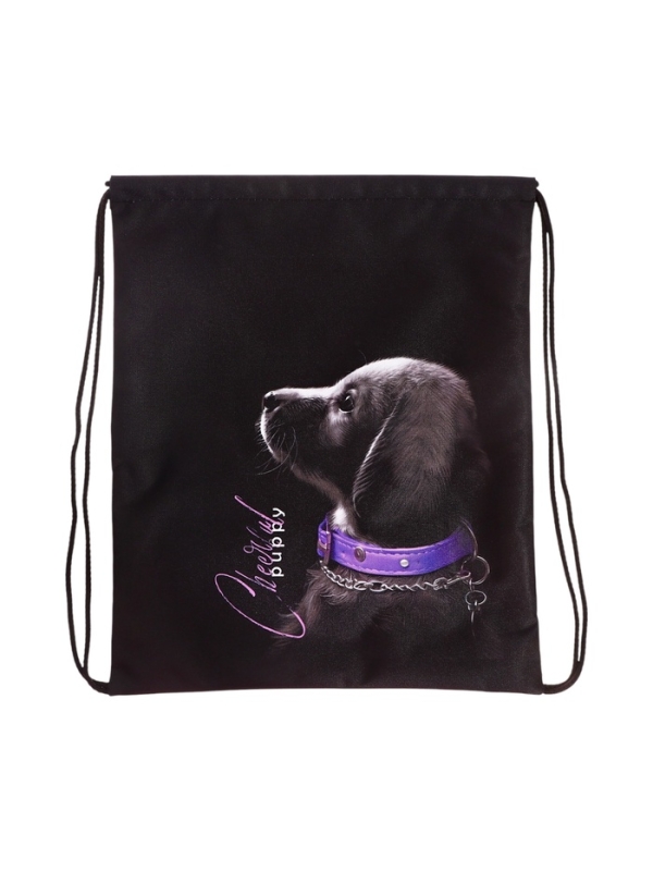 Мешок для обуви, 435×360 мм, Stavia (плотность 600D) «Собачка» Мешок для обуви, 435×360 мм, Stavia (плотность 600D) «Собачка»