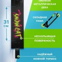 Самокат-снегокат 2 в 1 Snow Cat, колёса 100 мм, чёрный