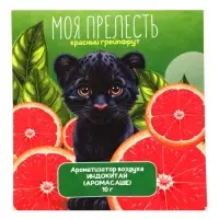 Аромасаше &laquo;Моя прелесть&raquo; красный грейпфрут, 10 г