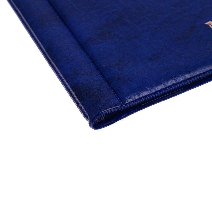 Альбом для монет 125 х 185 мм Calligrata, на 180 монет, ячейка 35 х 35 мм, 12 листов, обложка искусственная кожа, синий Альбом для монет 125 х 185 мм Calligrata, на 180 монет, ячейка 35 х 35 мм, 12 листов, обложка искусственная кожа, синий