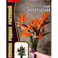 Семена цветов Стрелиция Королевская 3 шт. / НОВИНКА  12.29 г.