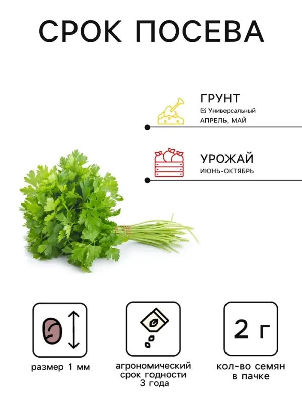Семена Петрушка листовая &laquo;Катюша&raquo;, 2 г, &laquo;АЭЛИТА&raquo;