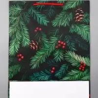Пакет подарочный новогодний ламинированный, «Шишки» , 33×10×42.5 см