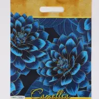 Пакет "Камелия, полиэтиленовый с вырубной ручкой 30х40 см, 60 мкм Пакет "Камелия, полиэтиленовый с вырубной ручкой 30х40 см, 60 мкм