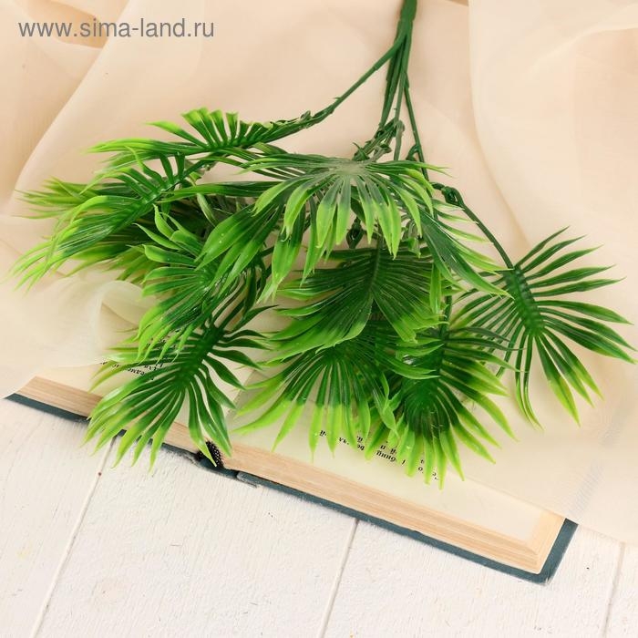 Букет  Букет "Дипсис" 30 см