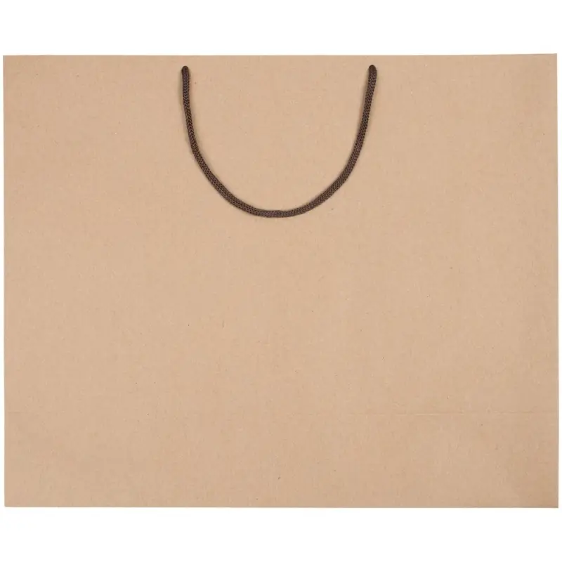 Пакет бумажный &laquo;Крафт&raquo;, L, неокрашенный