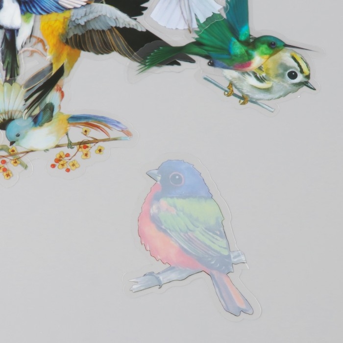 Наклейки для творчества пластик PVC Наклейки для творчества пластик PVC "Красочные птицы" набор 40 шт 9х10.5 см