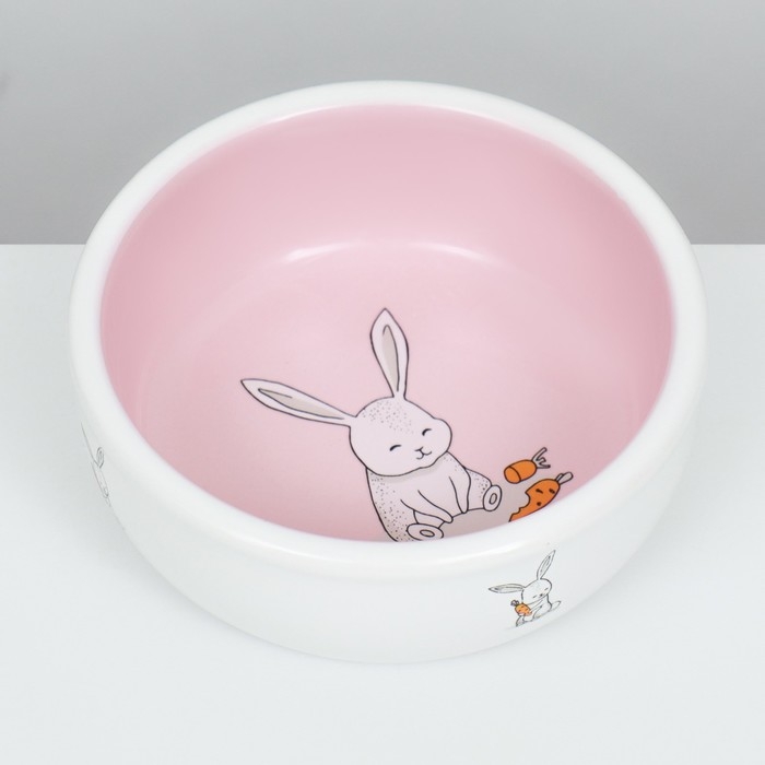 Миска керамическая для кроликов 200 мл 10 х 3,7 см, розовая/белая Миска керамическая для кроликов 200 мл 10 х 3,7 см, розовая/белая