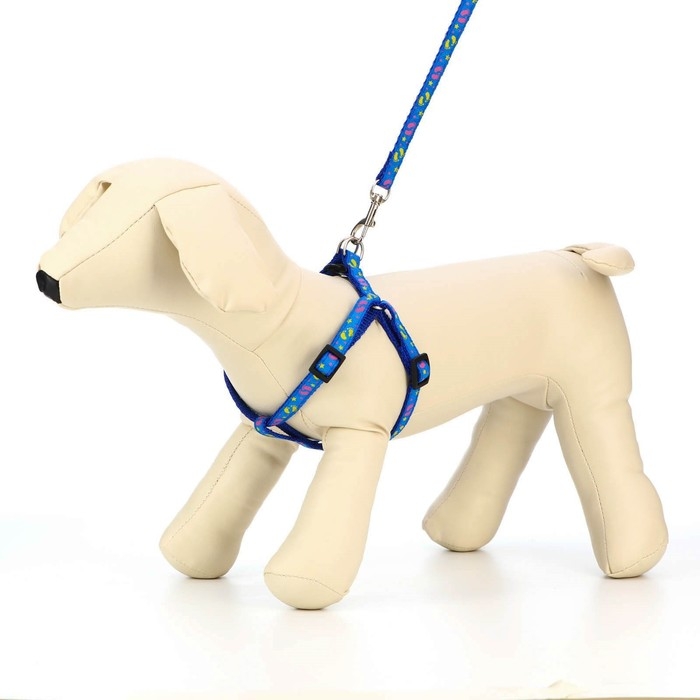 Комплект  Комплект "Цветные следы", ширина 1 см, поводок 120 см, шлейка 23-35 см, синий