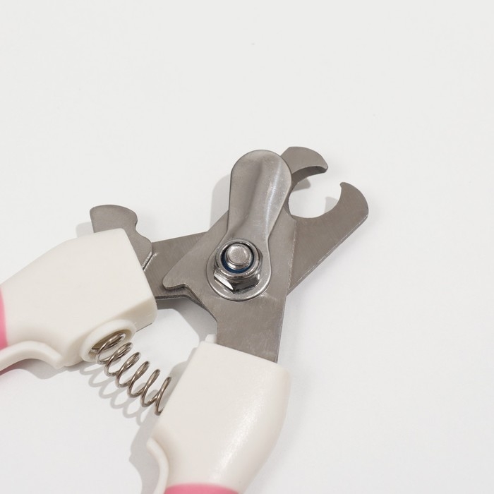 Когтерез боковой большой эргономичный , 16,3 х 6,5 х 1,1 см, эконом, микс цветов Когтерез боковой большой эргономичный , 16,3 х 6,5 х 1,1 см, эконом, микс цветов