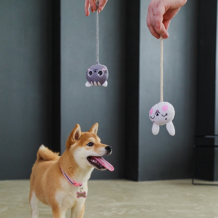 Игрушка для собак «Котик», с канатом Игрушка для собак «Котик», с канатом